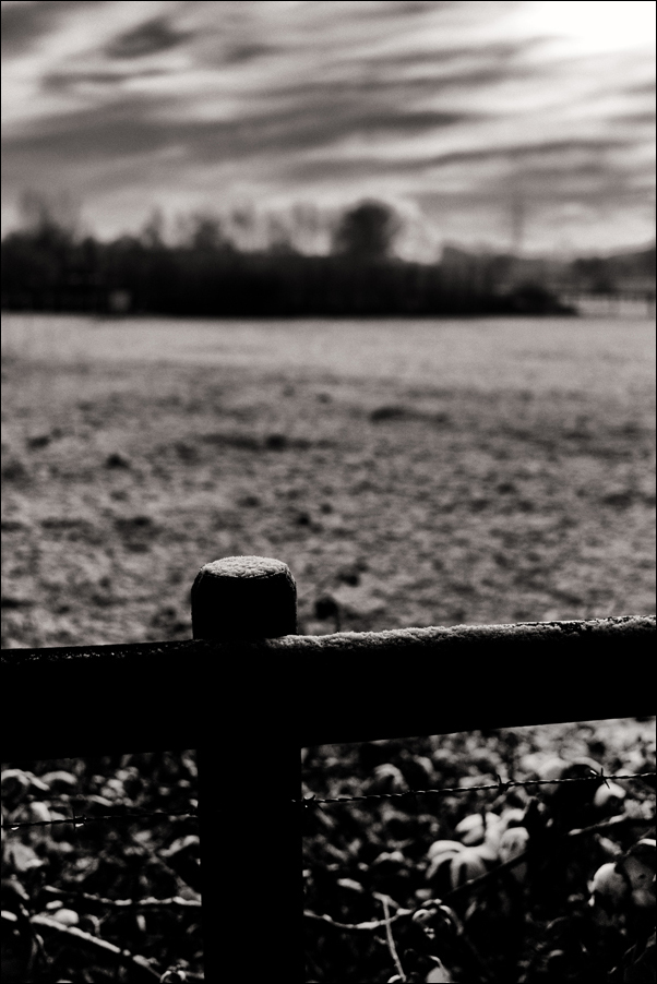 L1003380