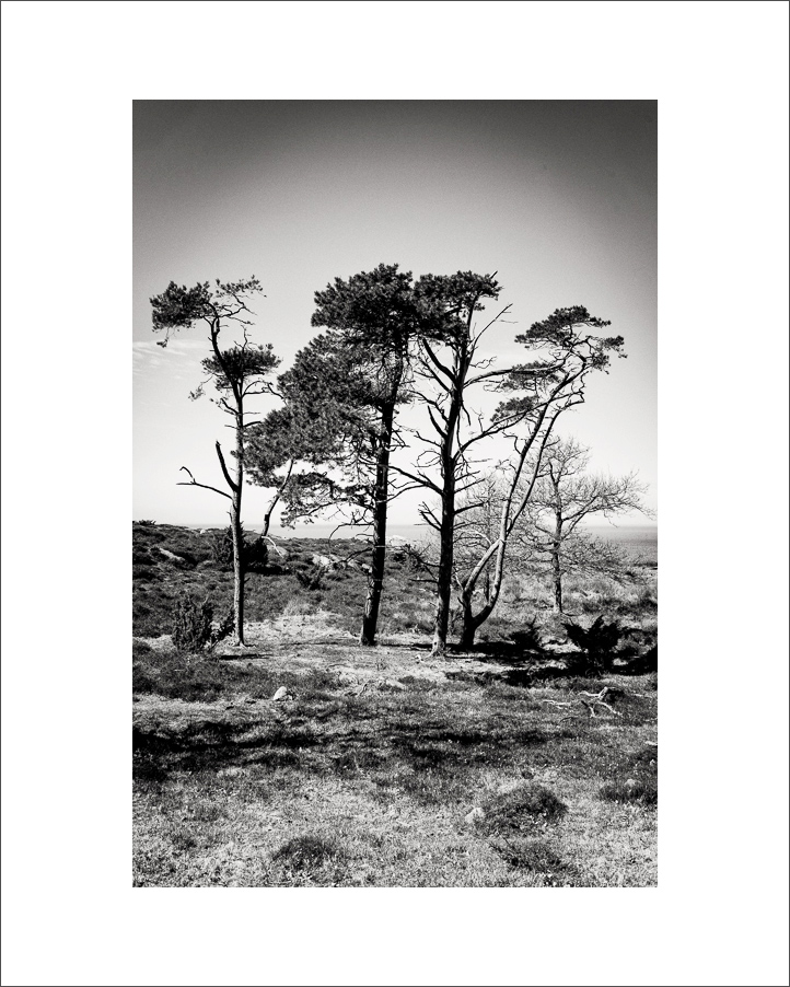 L1003547-Bearbeitet.JPG