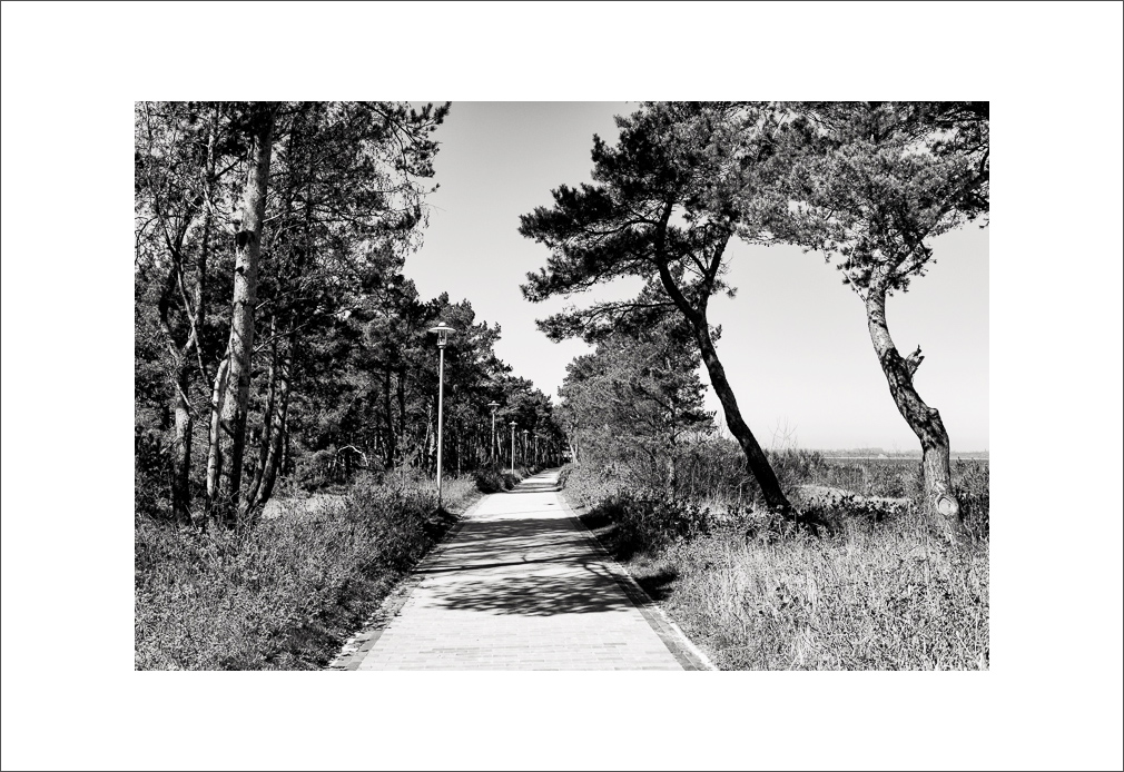 L1003730-Bearbeitet.JPG