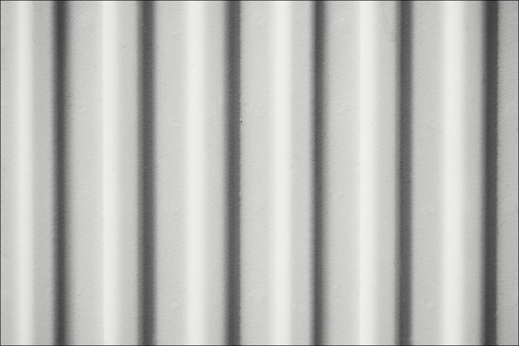L1009534