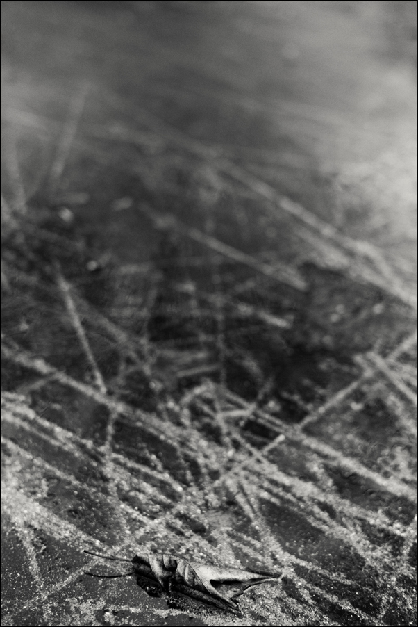 L1011039