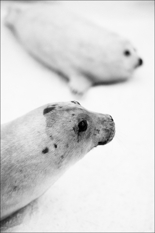 L1012814 Bearbeitet