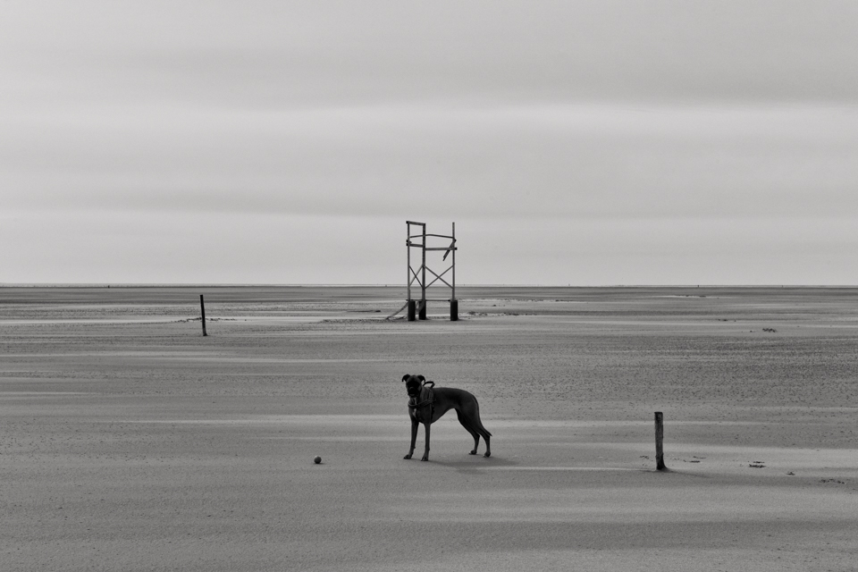 L1013766 Bearbeitet