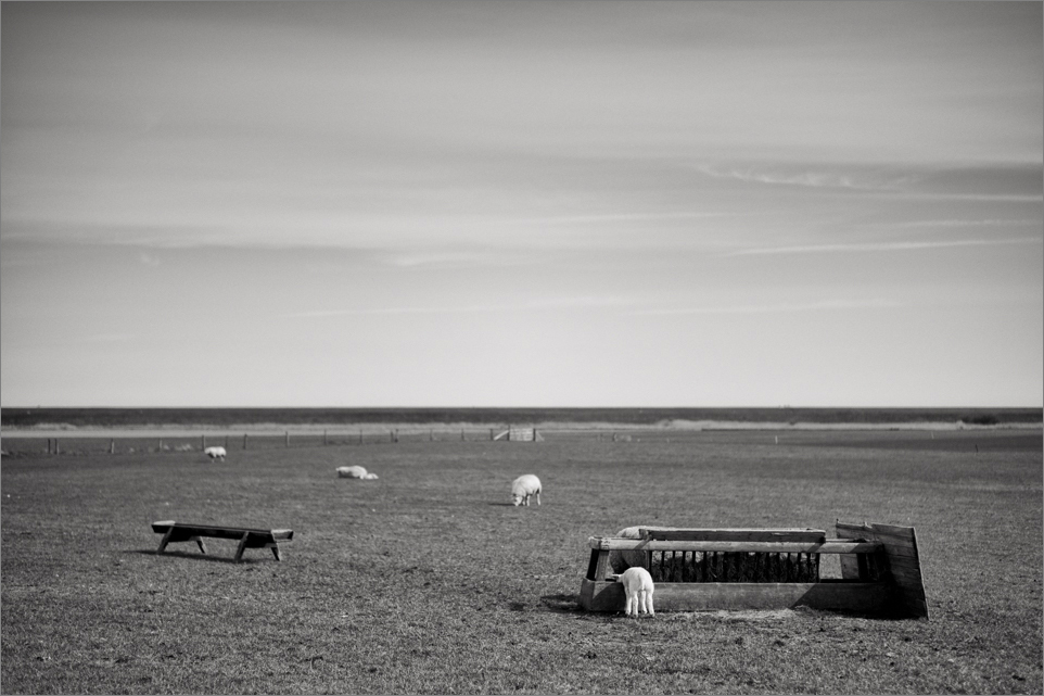 L1015765 Bearbeitet