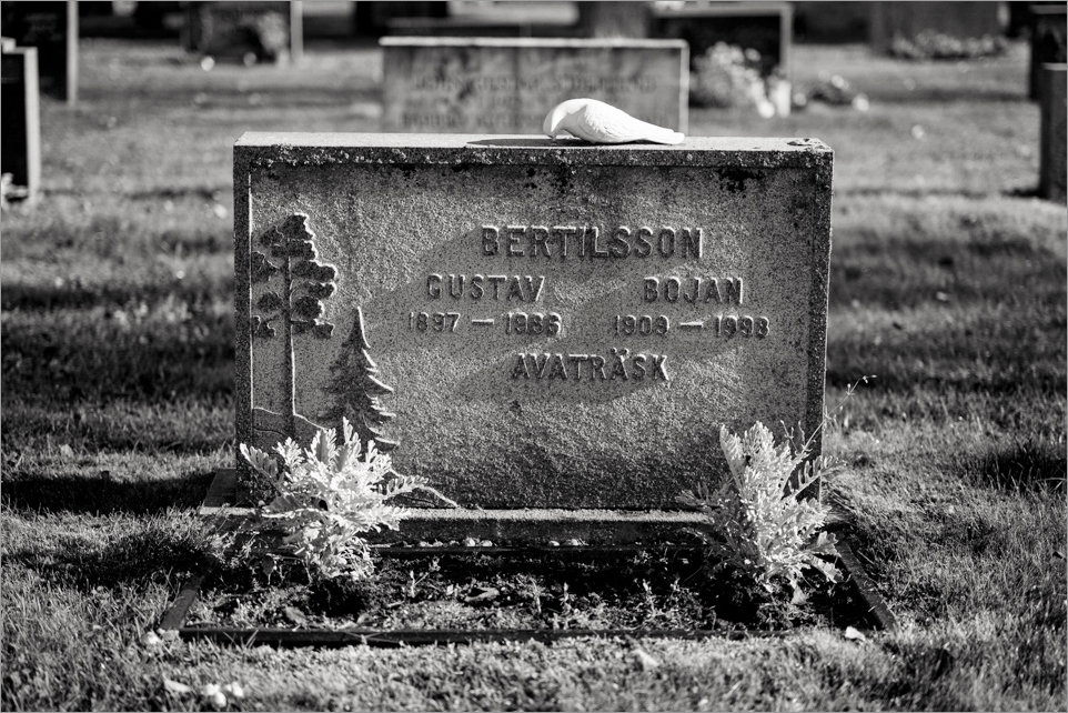 L1017019 Bearbeitet