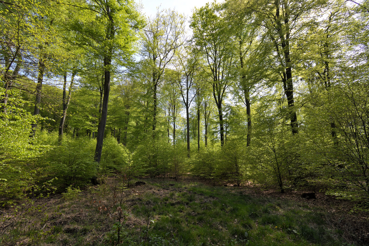 L190422-01.JPG