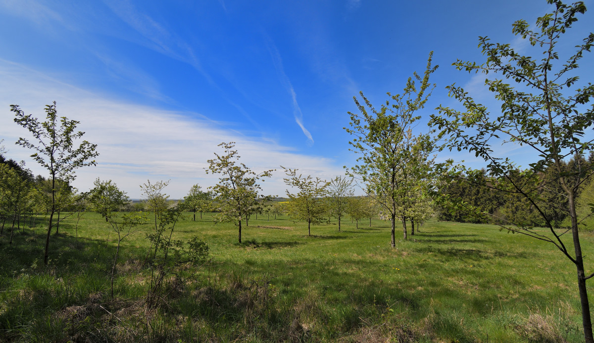 L190422-02.JPG