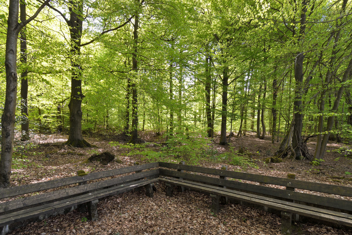 L190422-04.JPG