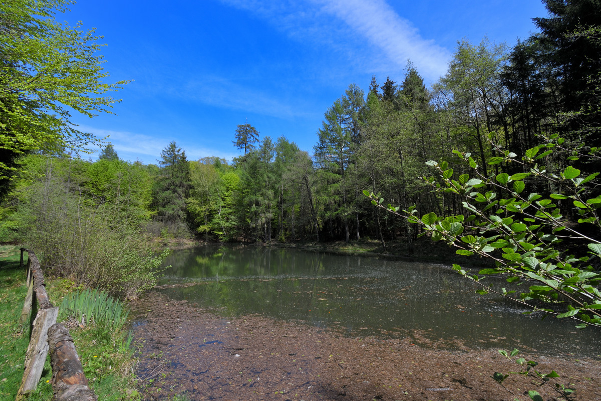 L190422-06.JPG