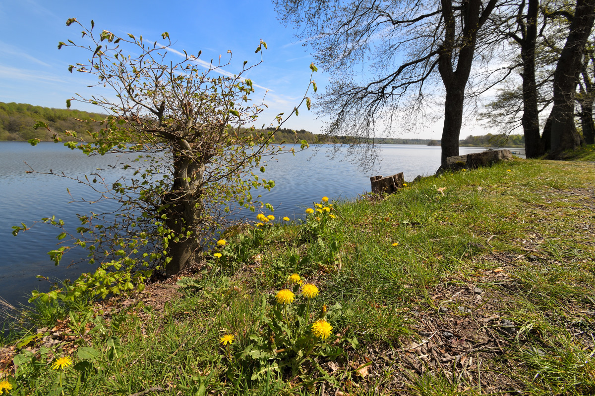 L190422-13.JPG