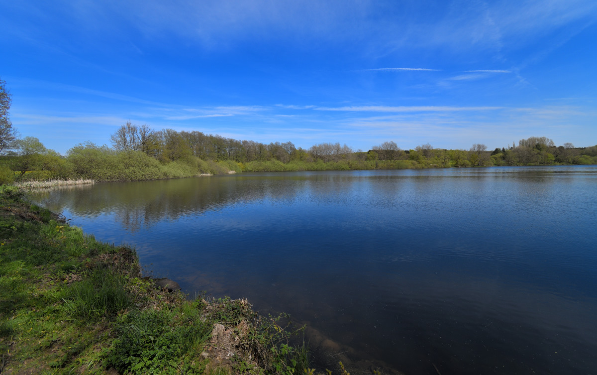 L190422-14.JPG