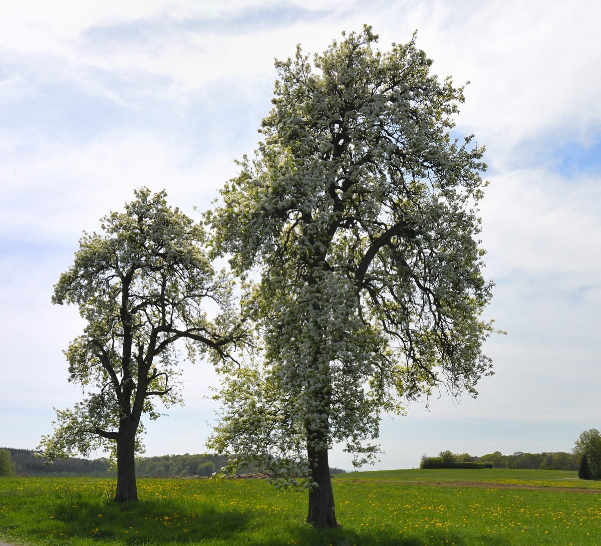 L190422-16.JPG