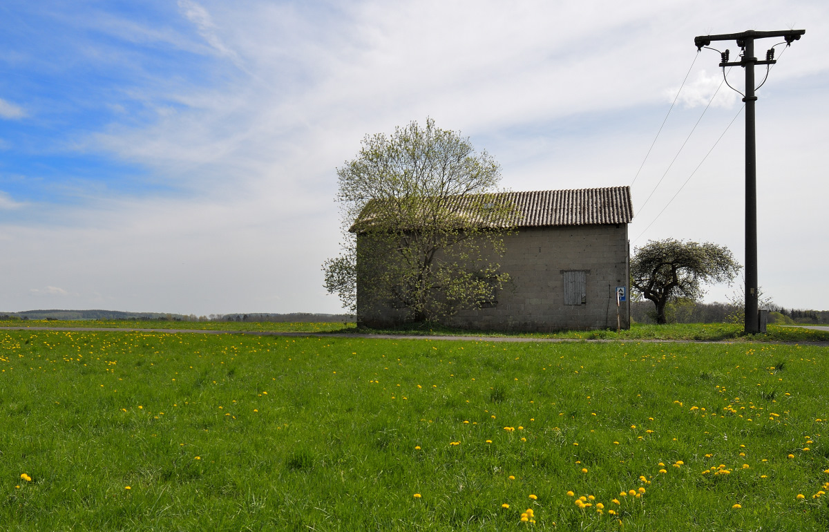 L190422-19.JPG