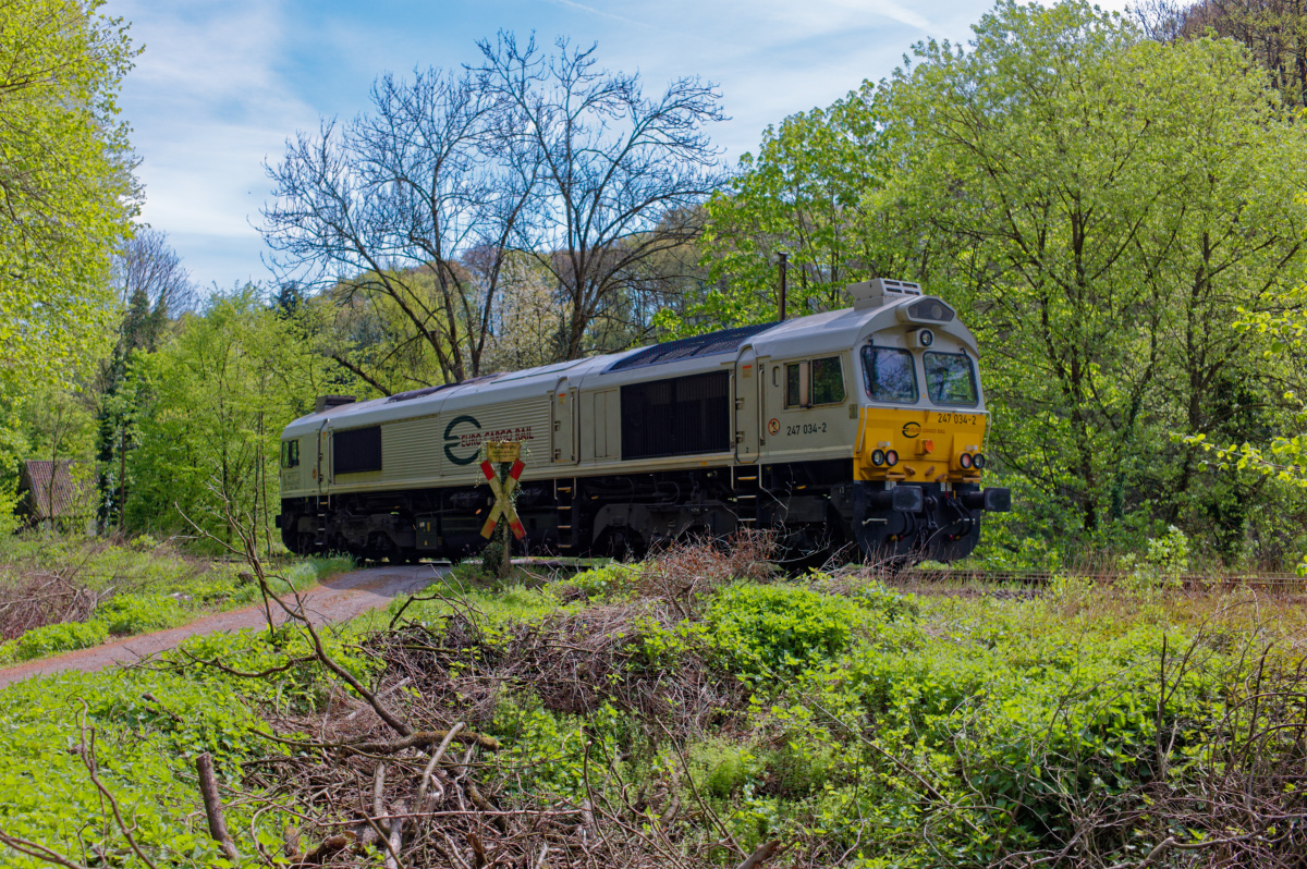 L9993195.jpg