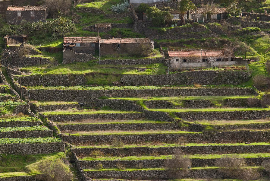 La Gomera 2008 Heike 25