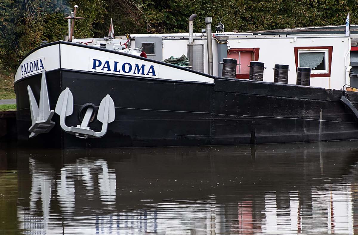 La Paloma 1.jpg