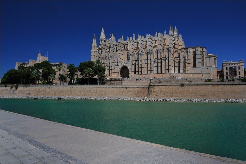La Seu Palma