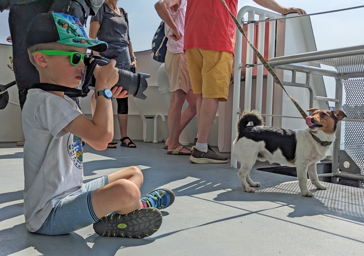 laboe_faehre_hund.jpg