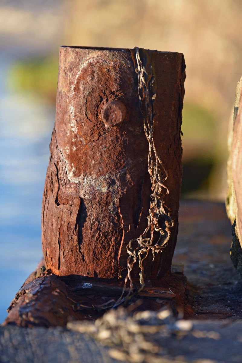 laboe_hafen_poller.jpg