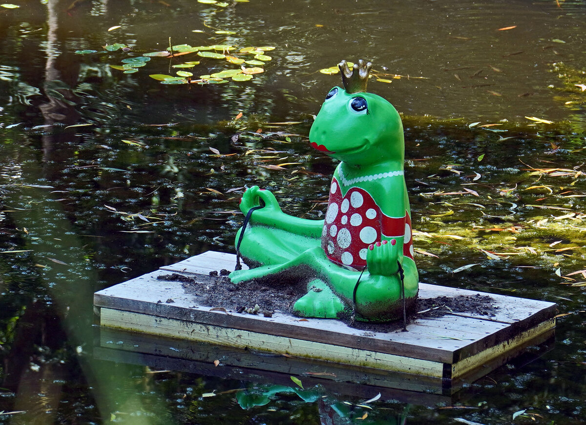 laboe_kurpark_frosch.jpg