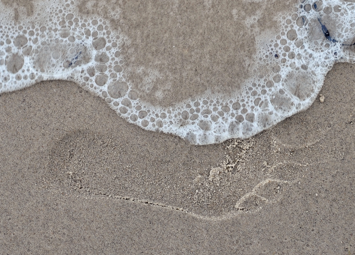 laboe_strand_fussabdruck.jpg