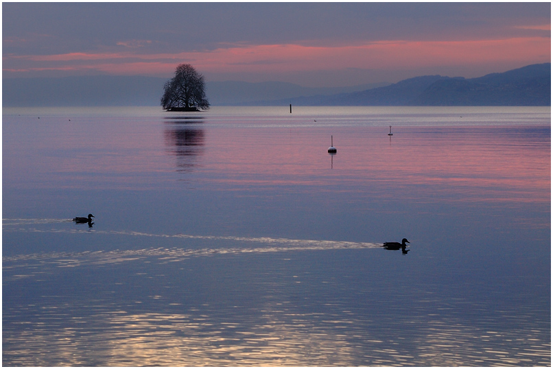 Lac Leman 008