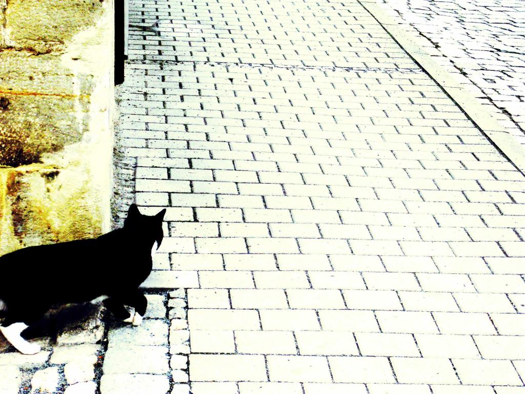laChat