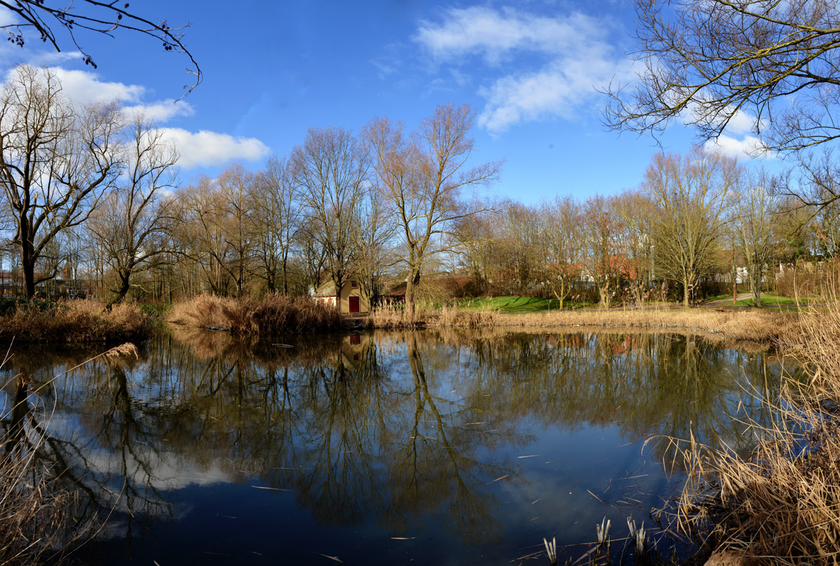 Ladenburg_teich_1200.jpg
