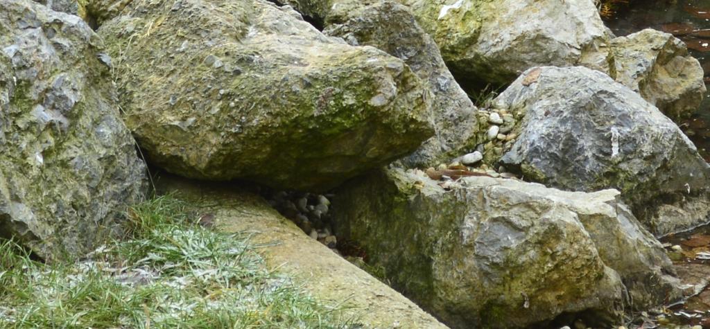 Lake_Detail_2