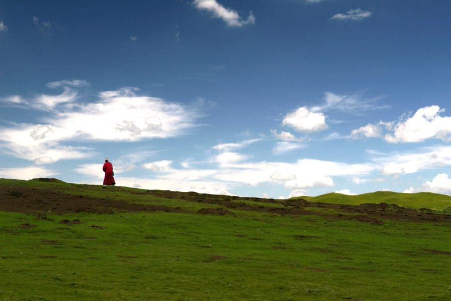 Lama in Ost Tibet auf dem Heimweg - August 2007
