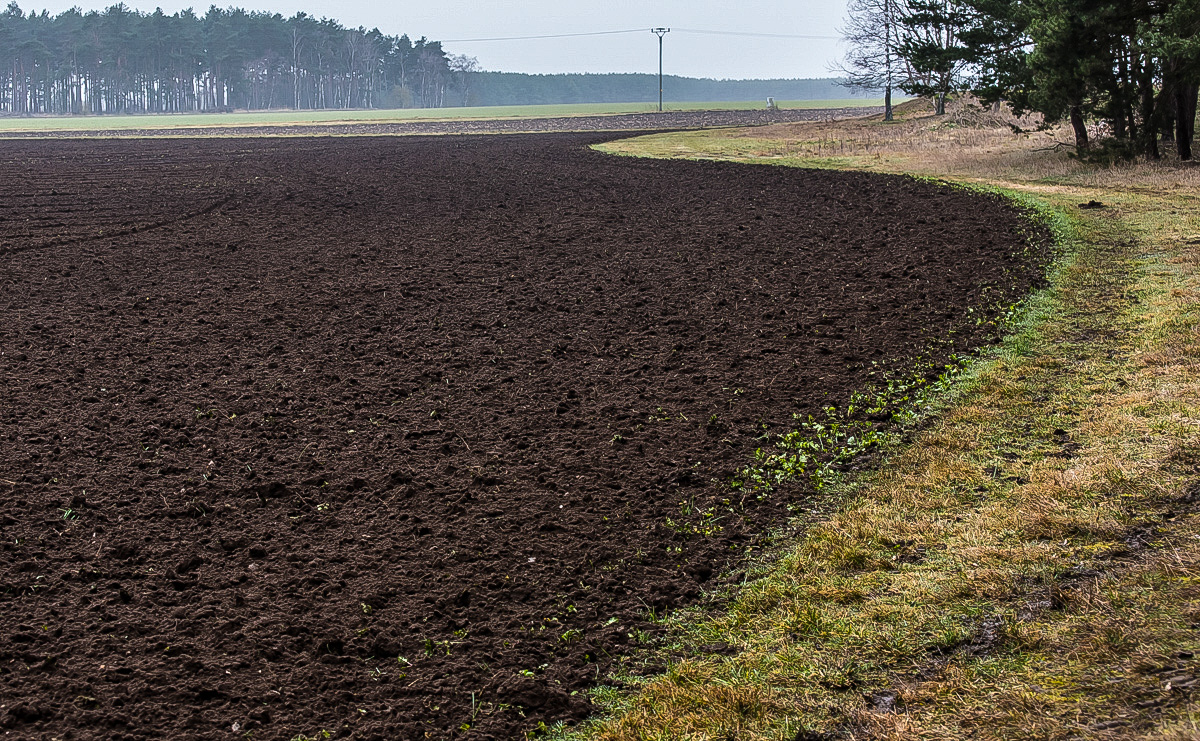 Landduft (1 von 1).JPG