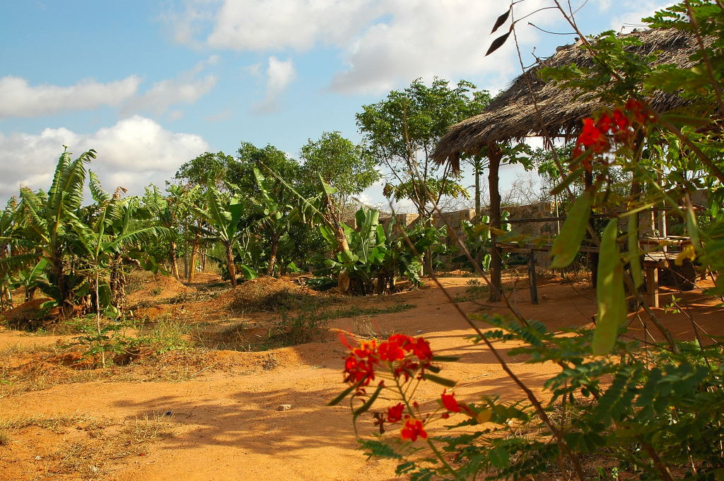 Landschaft 50km vor Tsavo NP