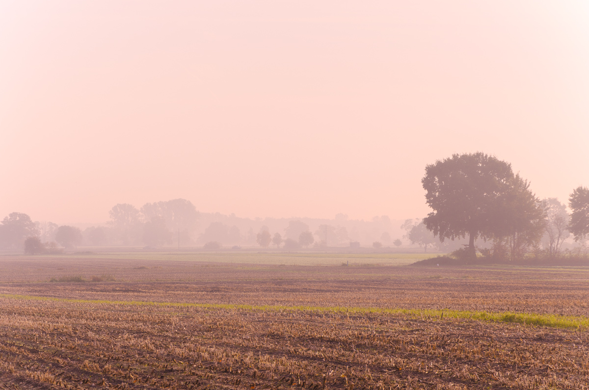Landschaft im Nebel 1