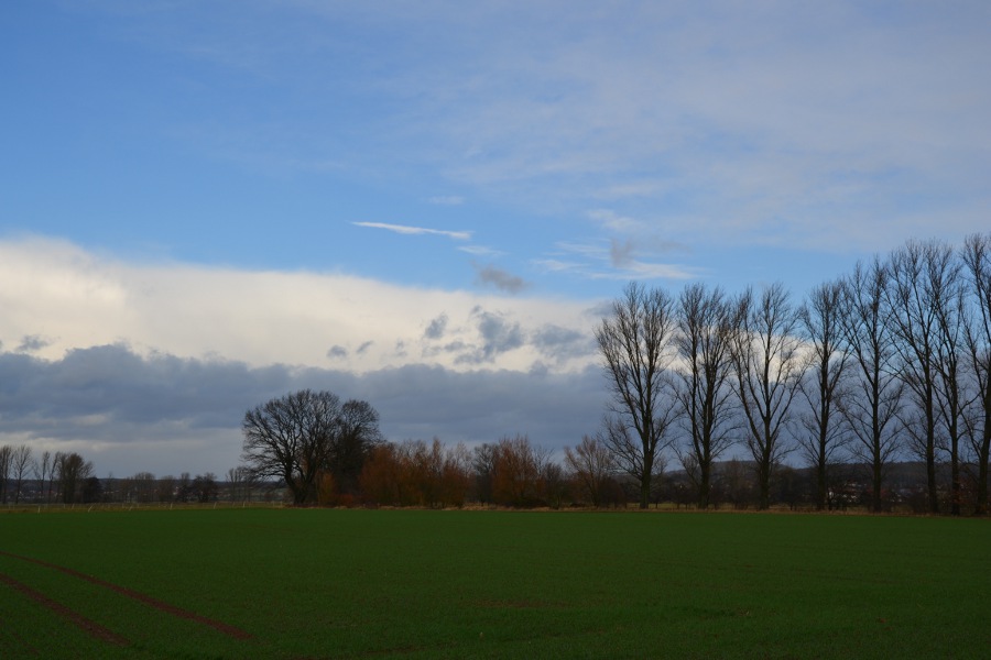 Landschaft