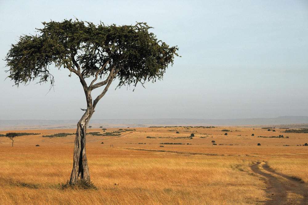 Landschaft