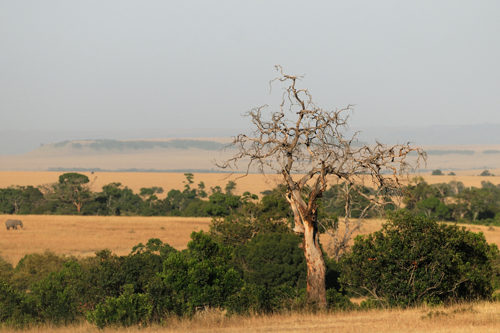 Landschaft