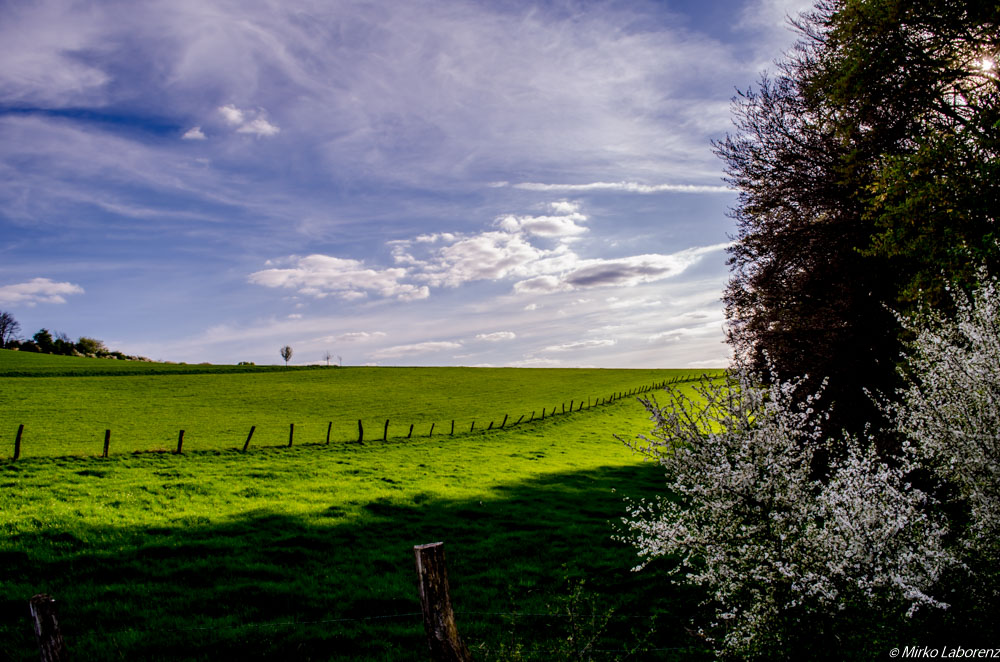 Landschaft