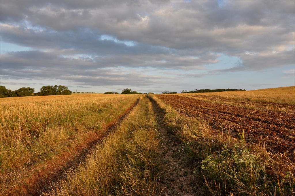 Landschaft