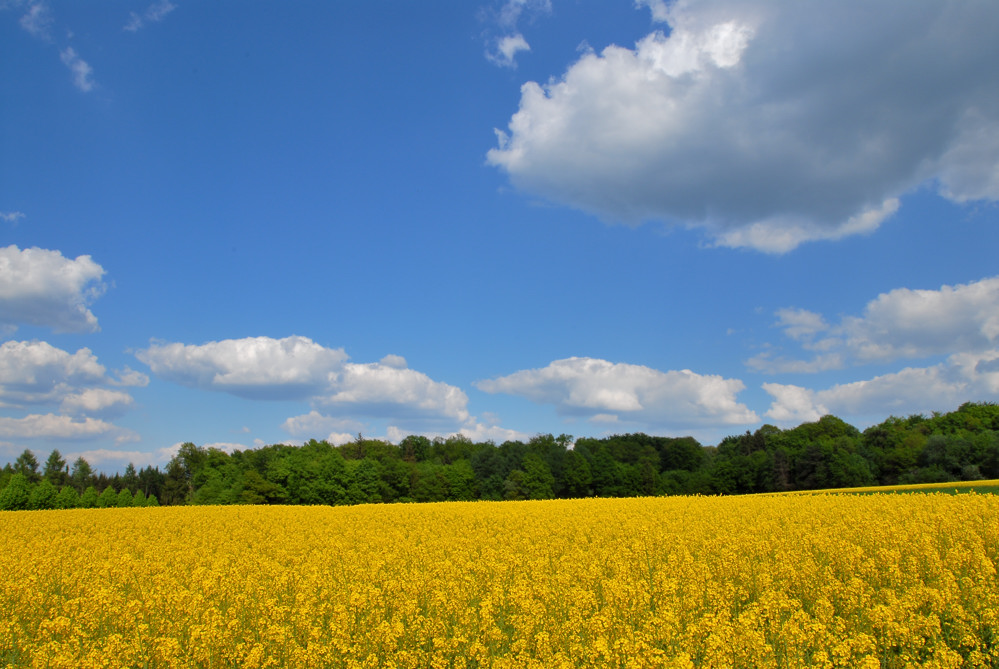 landschaft03