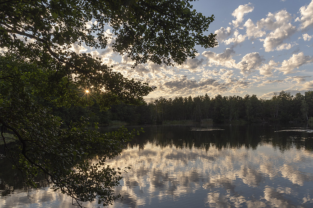 landschaft_2.jpg
