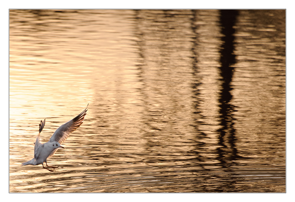 Landung im Abendrot