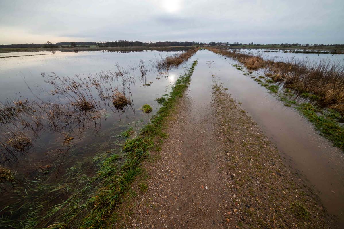 Landunter in den Seewiesen.jpg
