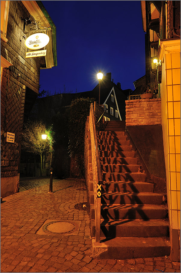 Langenberg #9