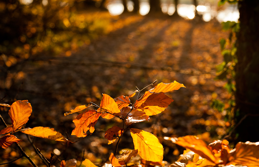 Langer Schatten