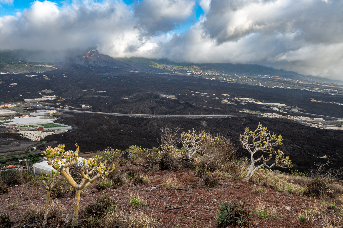 LaPalma23_NZ6_3913.jpg