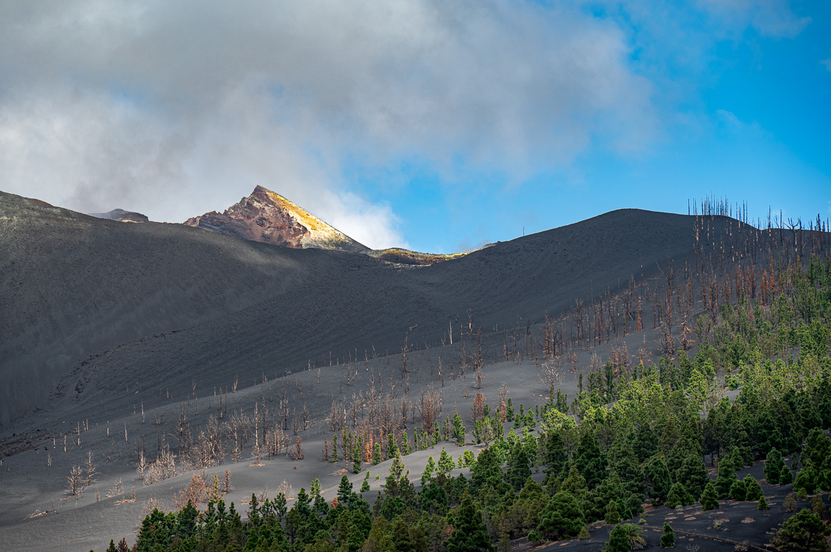LaPalma23_NZ6_3984.jpg