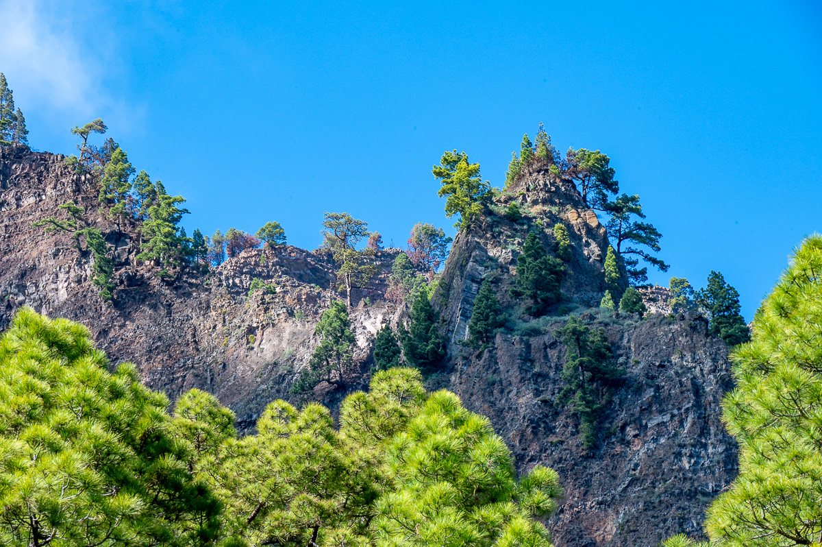 LaPalma23_NZ6_5858.jpg