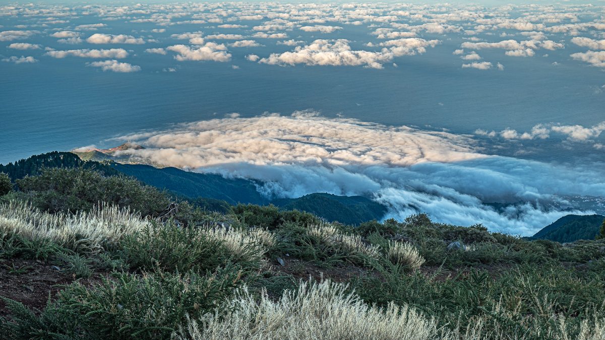 LaPalma23_NZ6_6697.jpg