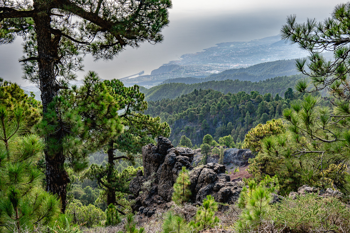 LaPalma23_NZ6_7515.jpg