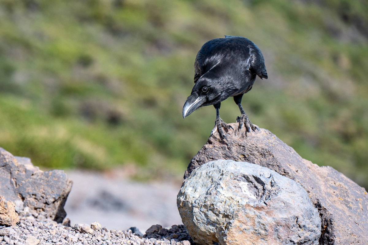 LaPalma23_NZ6_7937.jpg